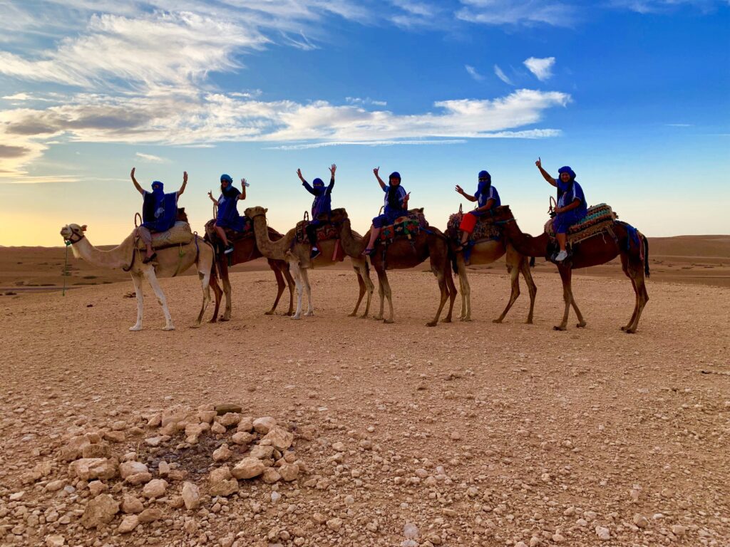 Valise group riding camels in Morocco