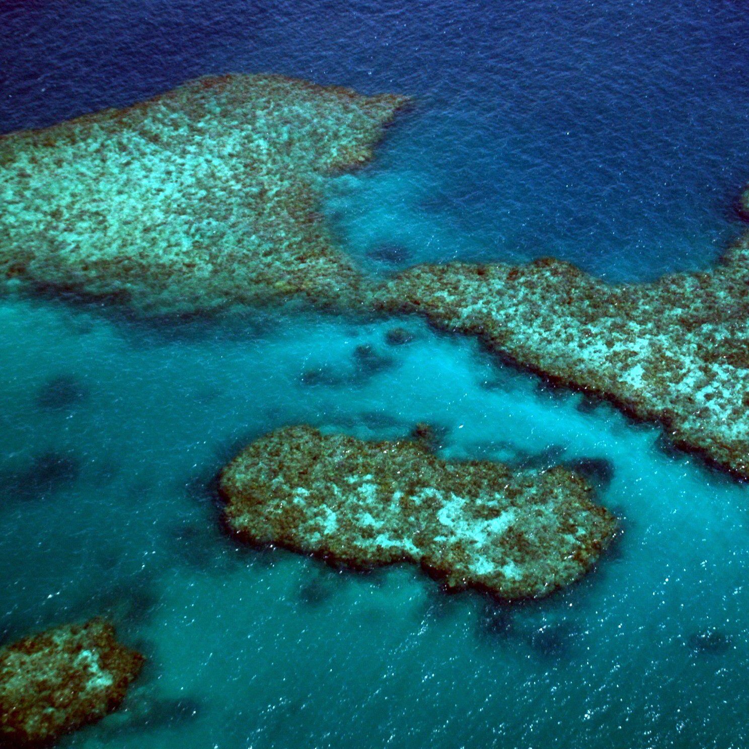 Australia Great Barrier Reef