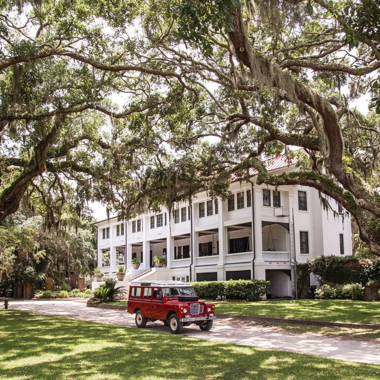 Cumberland Island Greyfield